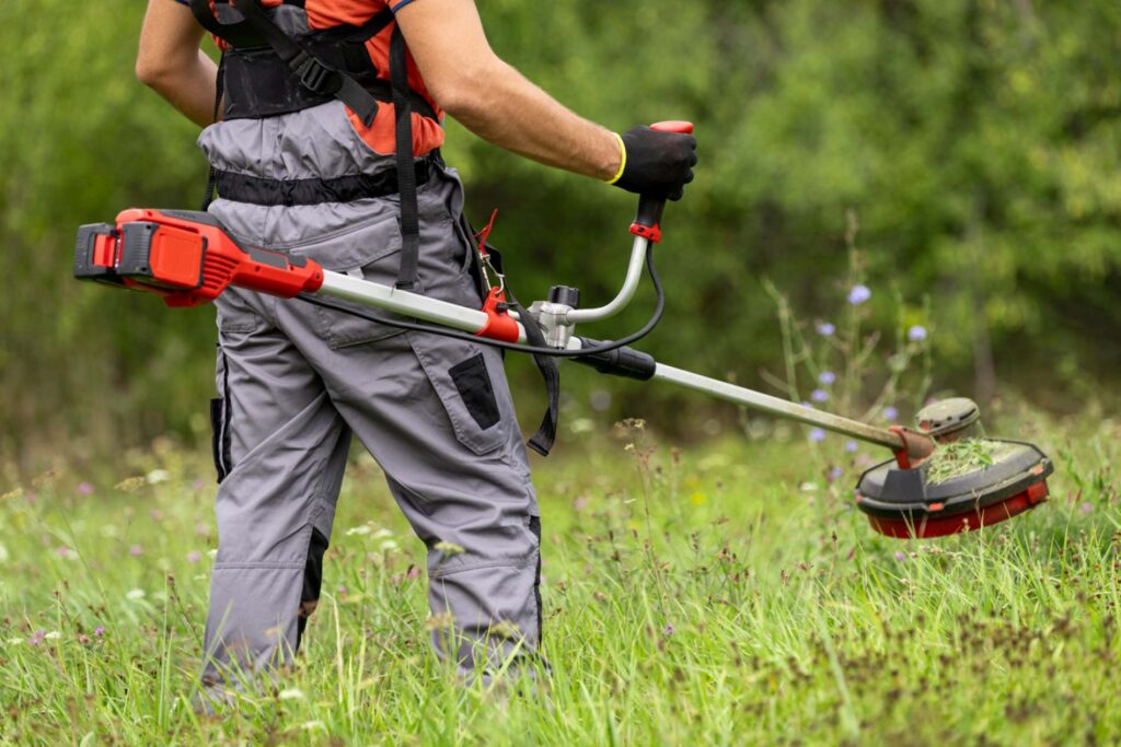 Cet oubli automnal peut métamorphoser votre jardin en un véritable piège à problèmes.