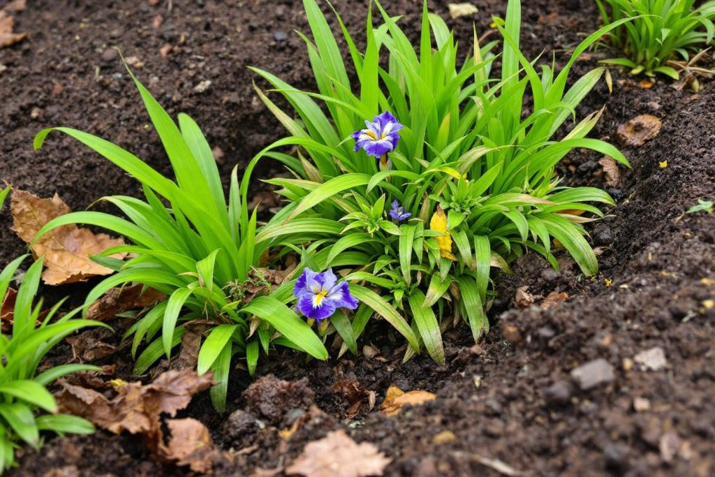 Un astucieux conseil de jardinier pour éviter les inondations inattendues sans tracas de drainage