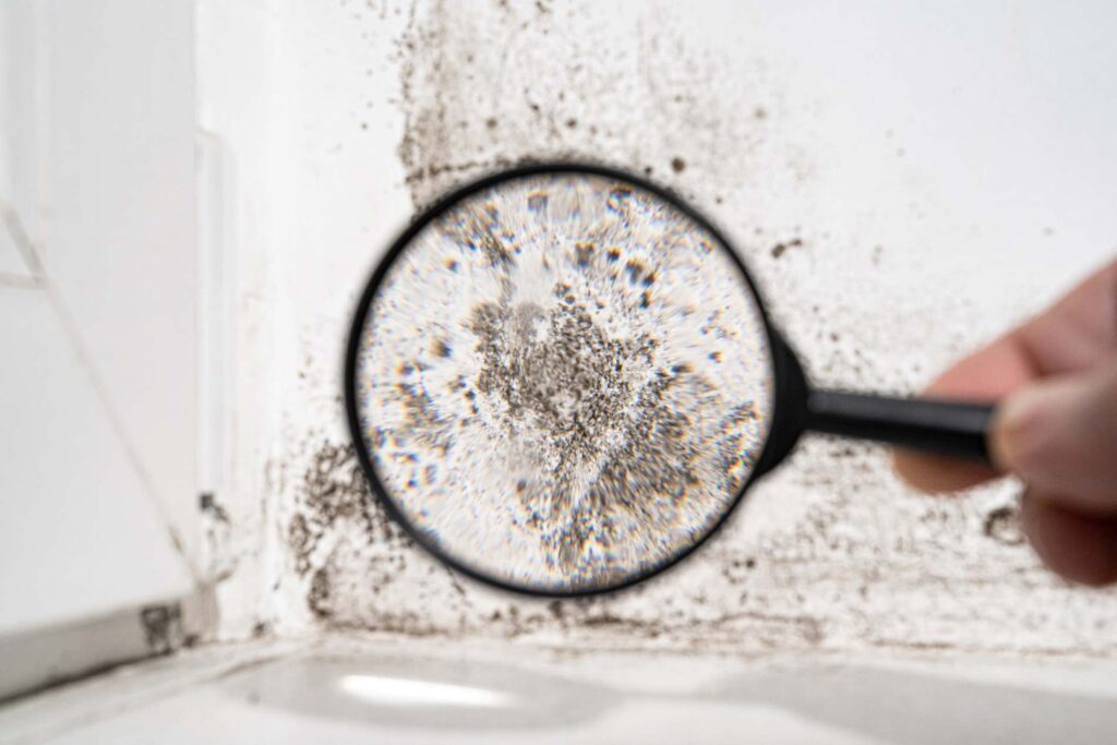 Découvrez 5 stratégies efficaces pour purifier votre environnement !