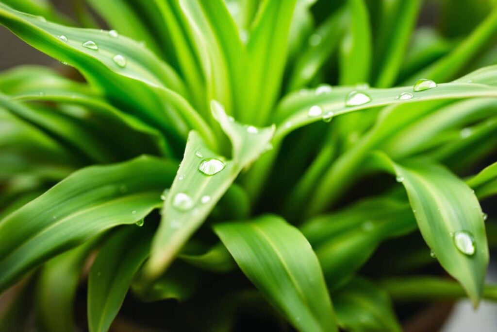 Le secret inattendu du fond de votre évier : un allié puissant pour vos plantes et potagers !