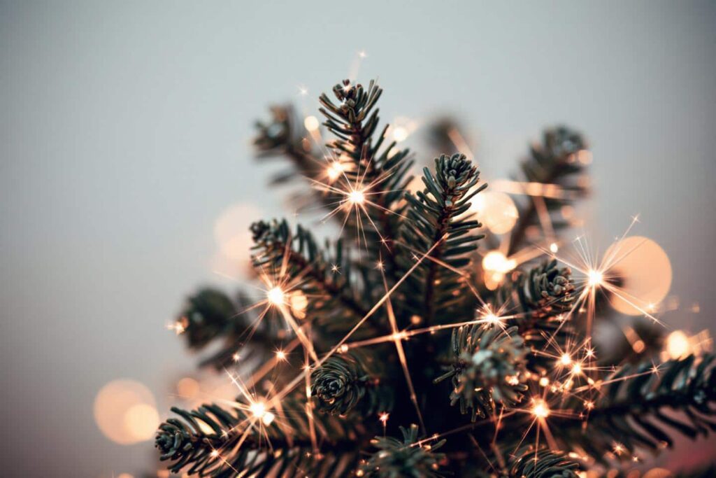Un Noël réinventé : découvrez l’astuce chic qui a sublimé mon sapin et charmé mes invités !